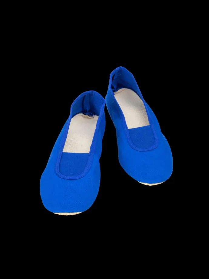 Gymnastikschuhe Classic in blau
