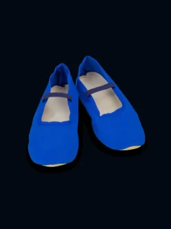 Gymnastikschuhe Standard in blau