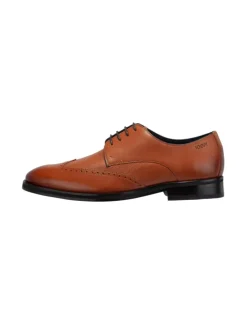 Lace Up 'Pero Kleitos Brogue in Cognac'