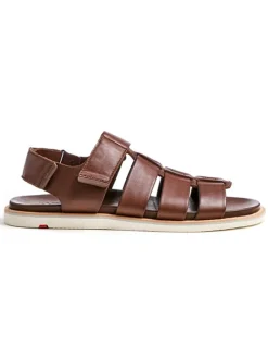 Leder-Sandalen "Elimar" in Braun