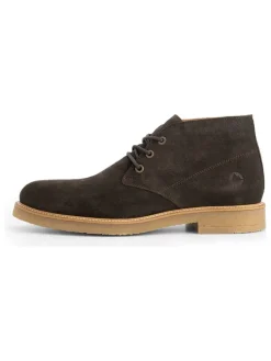 Leder-Schnürschuhe "Ferryhill" in Braun