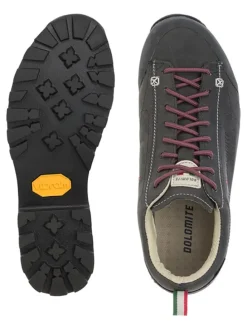 Leder-Trekkingschuhe "54 Low Fg Evo GTX" in Anthrazit