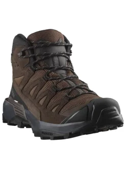Leder-Trekkingschuhe "X Ultra 360 LTR GTX" in Braun