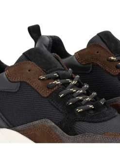 Rodanthe in Schwarzbraun