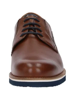 Schnürschuh Dilip-716-H in cognac