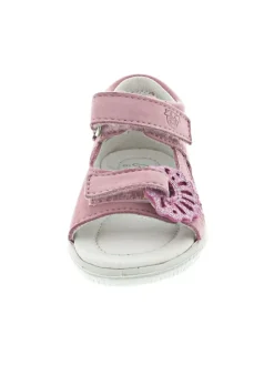 Sylvie Minilette Rosa