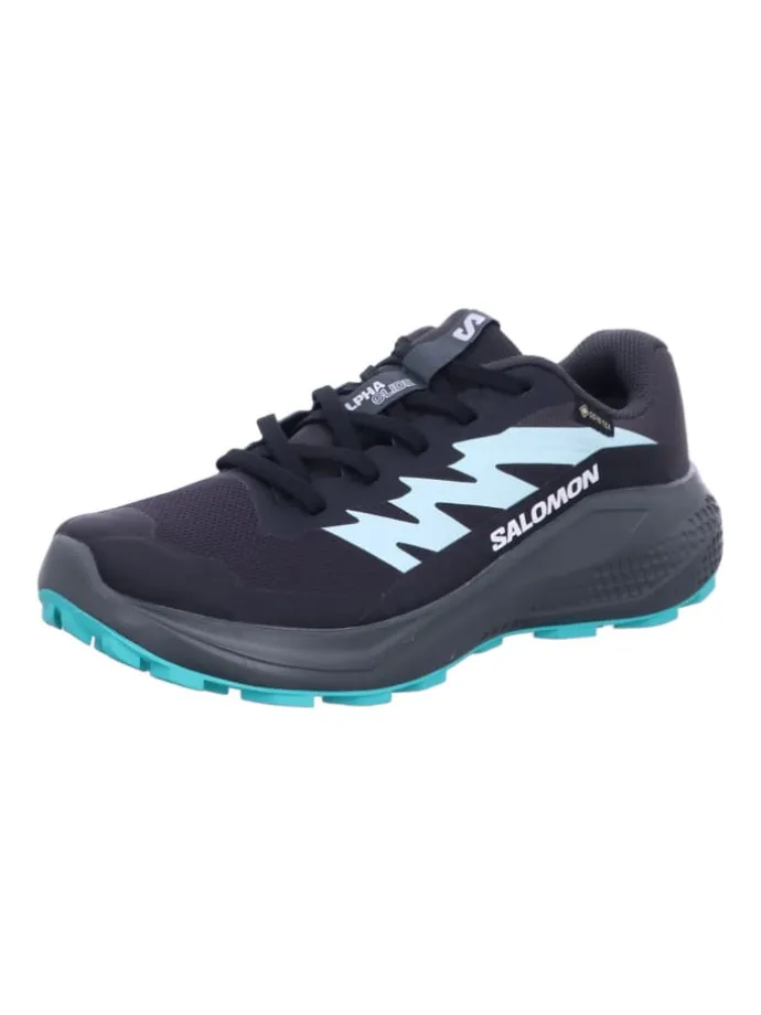 Wanderschuhe ALPHAGLIDE GTX W in Grau
