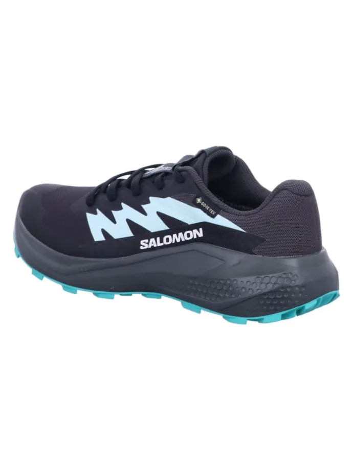 Wanderschuhe ALPHAGLIDE GTX W in Grau