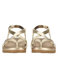 Zehensteg in Gold/Gold