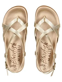 Zehensteg in Gold/Gold