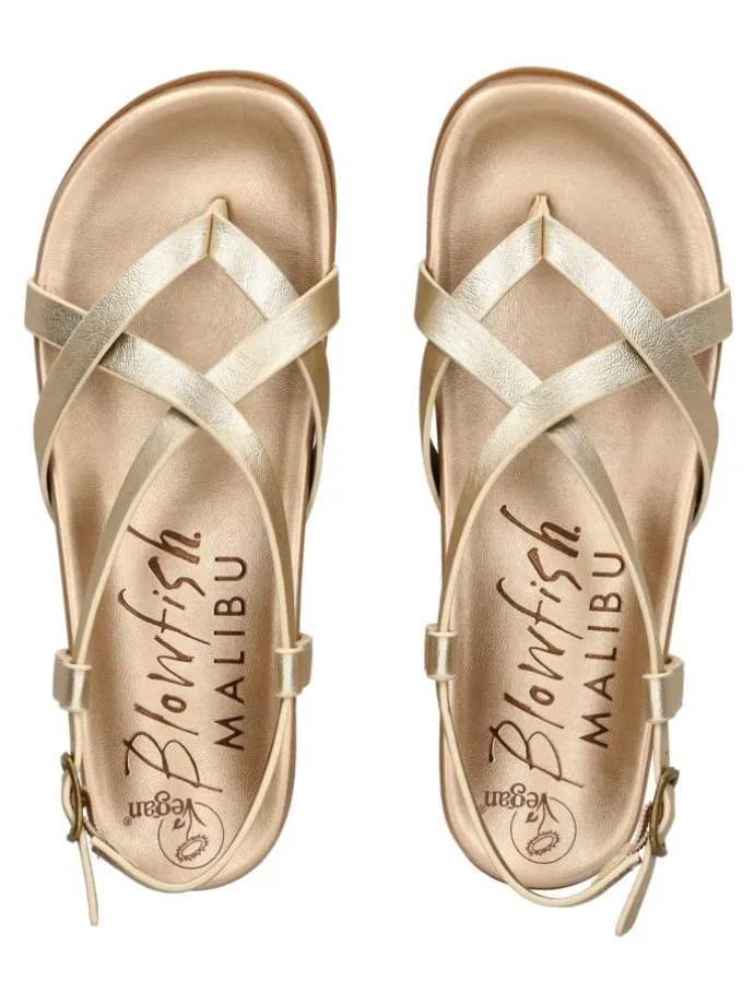 Zehensteg in Gold/Gold